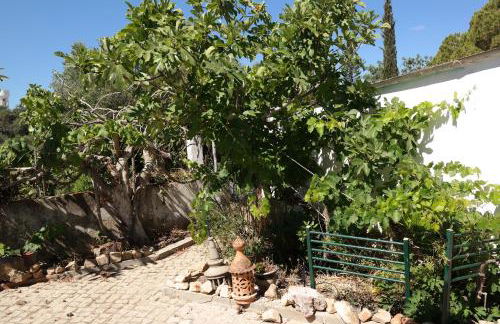 JB - Monte João Moleiro With Shared Pull - Photo 66