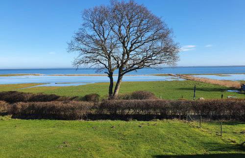 Ferienhaus Pippilotta Olpenitzdorf - Foto 21