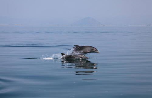 Aspri Villa - Foto 60