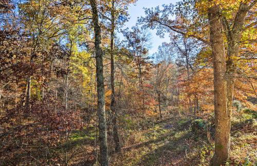 Luxe Dog-Friendly Cabin with Hot Tub and Game Room - Foto 28