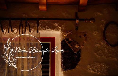 Ninho Bico-de-Lacre ~ o paraíso é a/na Terra - Foto 12