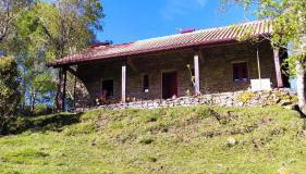 Aveleira EcoCasa - Foto 4