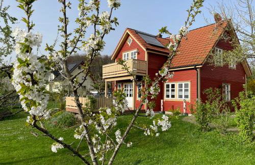 Holzferienhaus - Foto 73