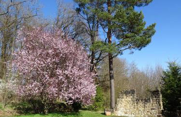 Ferienhaus Eifelgruß, in schöner Waldrandlage und tollem Naturgarten - Foto 46