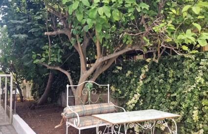 Studio Buganvilia - near riverside - Photo 10