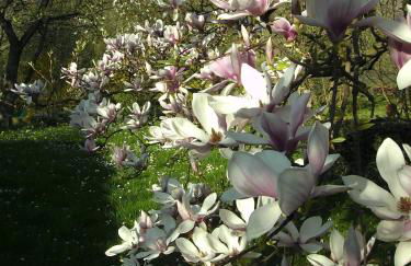 Vias Ferienwohnungen - Foto 57