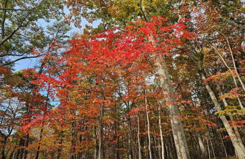 Serenity Cabin - Cozy Mountain retreat - Photo 54