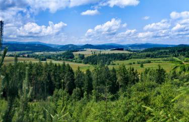 APARTAMENTY & DOMKI Chełmsko Śląskie - Foto 17