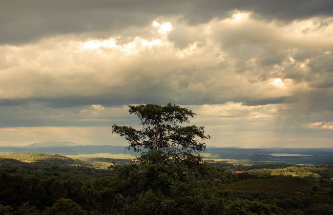 El Calambuco - Foto 36