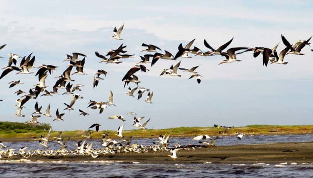 Salamanca Island Road Park Hiking Tour - Foto 5