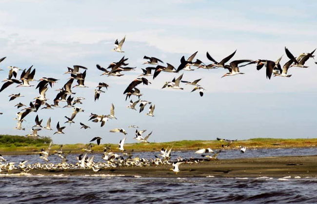 Salamanca Island Road Park Hiking Tour - Foto 5