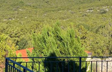 Apartment Tasha - Foto 10