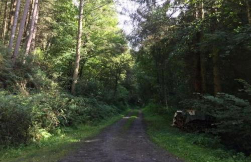 Holiday Home Moselle With Private Sauna - Foto 76