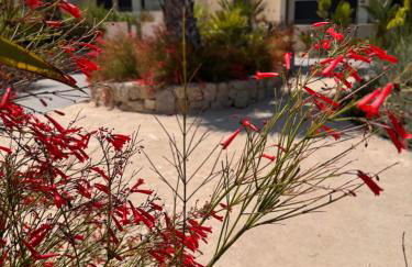 Mediterranean Garden Holidays - Foto 45