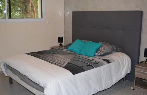 Grande maison moderne avec piscine à Tours, proche du centre-ville et de la Loire à Vélo - FR-1-381-231 - Photo 6