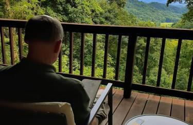 Treetops Cabin easy to Asheville with fast wifi and great view - Foto 45