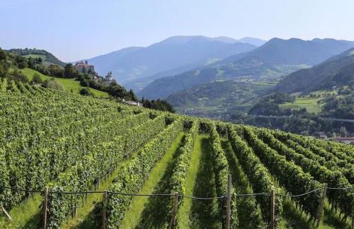 RÖCK Weingut - winery - Foto 5