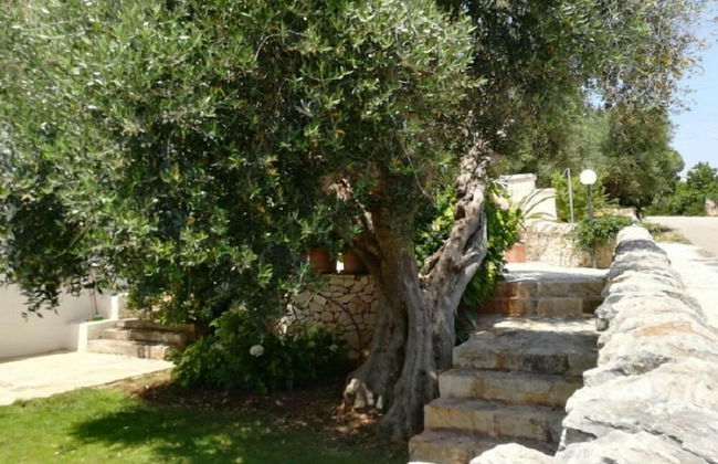 Residenza Aurora - Foto 43