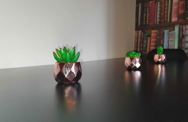 Comfortable Homestay in Stoke - Photo 33