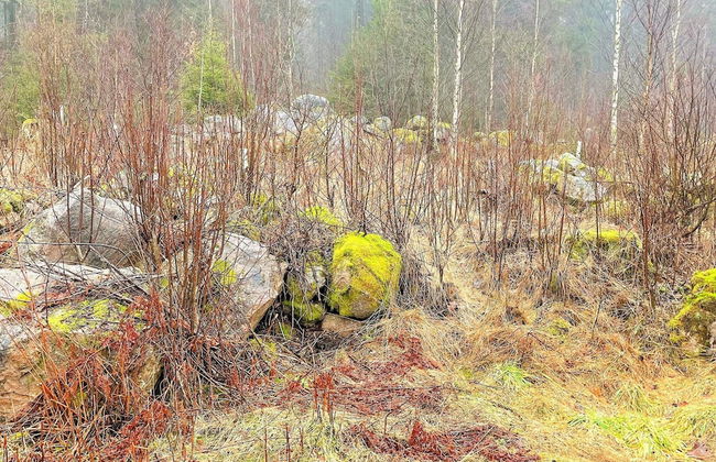 5 Person Holiday Home in Sexdrega-by Traum - Photo 20