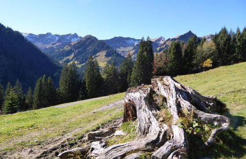 Ferienwohnung Am Kräutergarten - mit Pool, Sauna und Garage - Foto 34