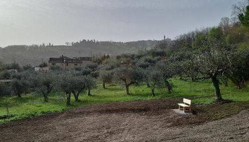 Casa Olive Family - Foto 1, Garden