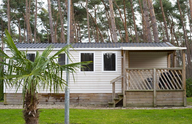 3 bedroom House in Schinveld with garden and terrace - Photo 6