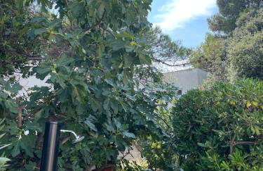 Oleander adria - Foto 19