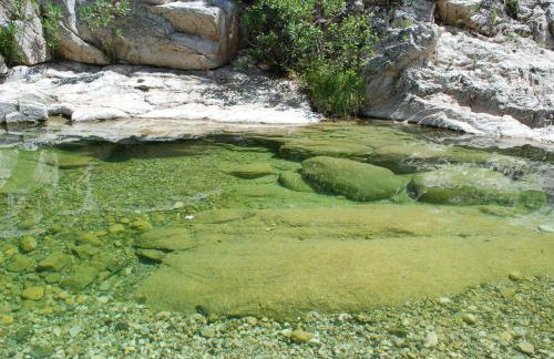 Apartment Conchiglie - Foto 54