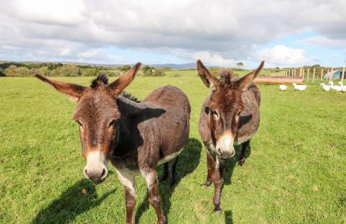 Saddlers Cottage, Berllandeg Farm - Foto 27