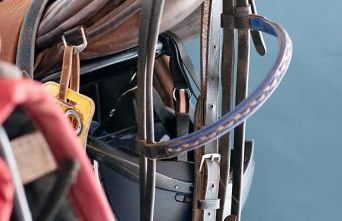 Ferienwohnung Roderath - Photo 7