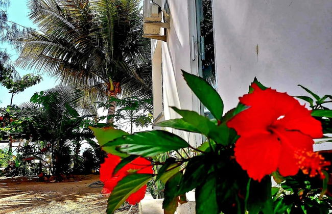 Biserka House - Foto 14