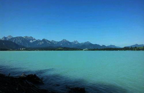 PeThe`s No 1 - Foto 32