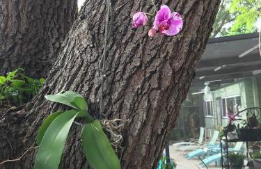 1620 - Short Term Available message Jo-An - Foto 39