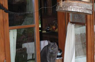 Agroturystyka Smolnikowe Klimaty - Sauna&Jacuzzi - Foto 37