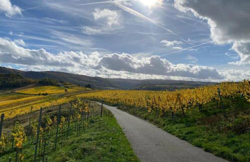 das rote Ferienhaus Terlinden - Foto 7