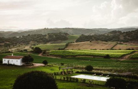 Auberge Santu Martine Cottage with Pool (Ollastru) - Foto 53