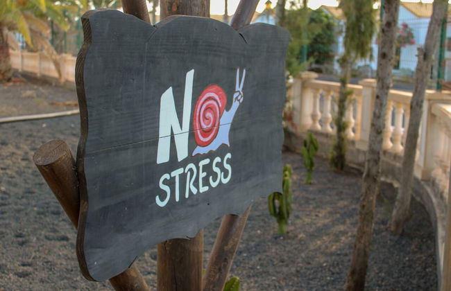 Castillo Beach Club Apartments - Photo 36