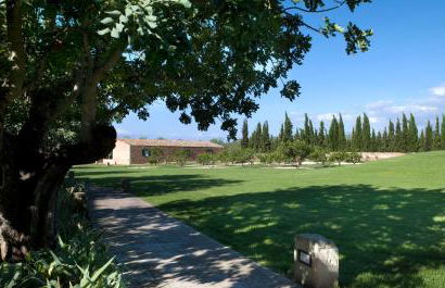 Son Bernadinet - Foto 38