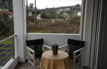 Almira Ghouse - Foto 14