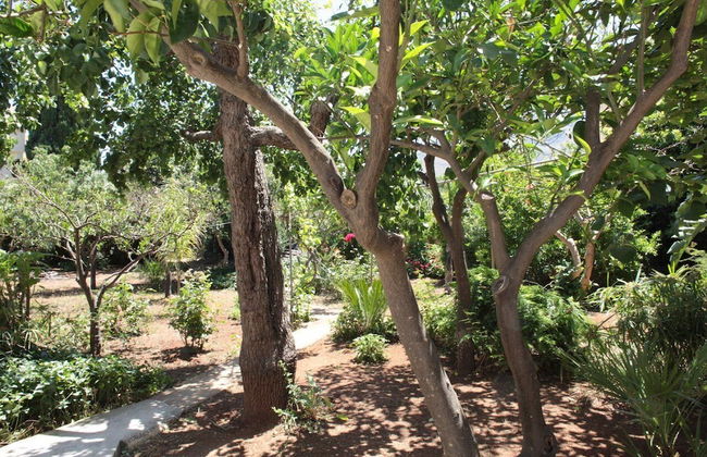 I tre Golfi Itaca - Foto 31