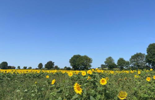 3 self-contained gites with pool and games room - Foto 66