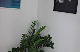 Coop30 Belém - Foto 24