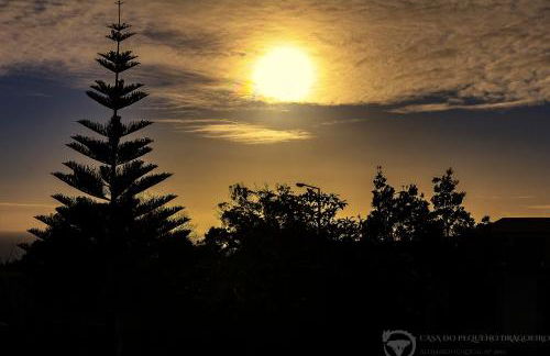 Casa do Pequeno Dragoeiro - Foto 110