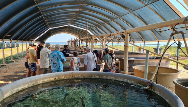 Dampier Peninsula Tour - Foto 4