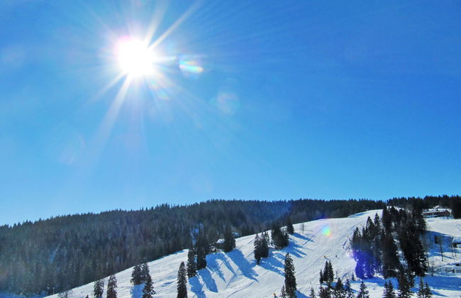 Haus Ganter - Foto 24