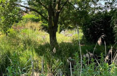Barnacle Barn, North Norfolk - Foto 40