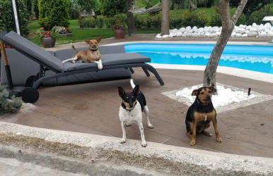 Casa Barranqueiro - Foto 47