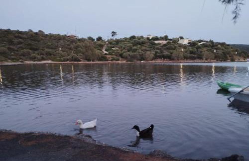 Αrmiriki House - Photo 34