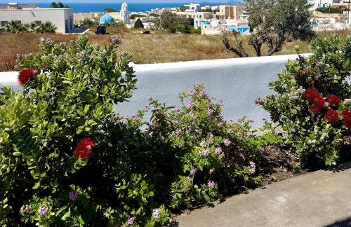 White Harmony Suites - Foto 39